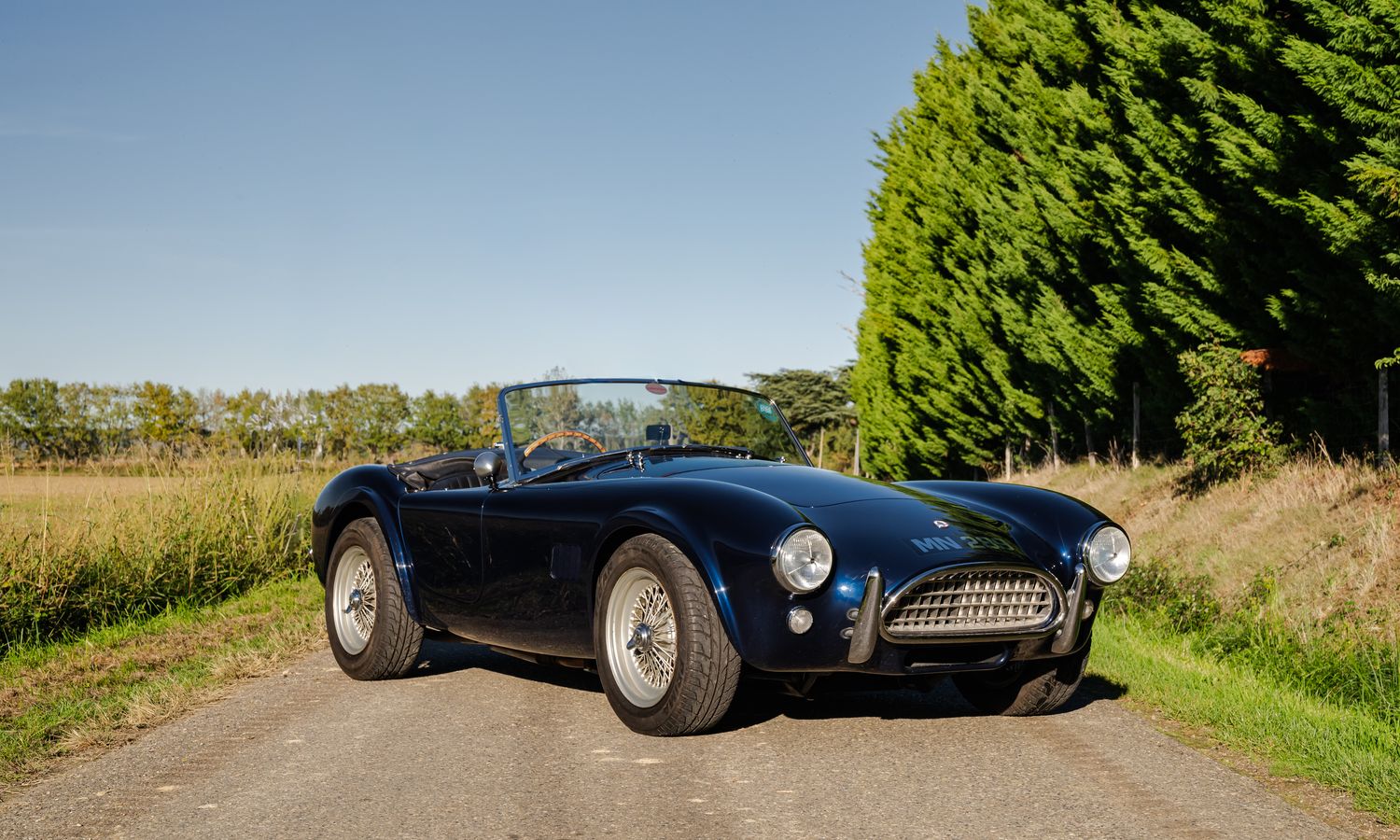 1965 AC Cobra 289 MKII Blue Exterior