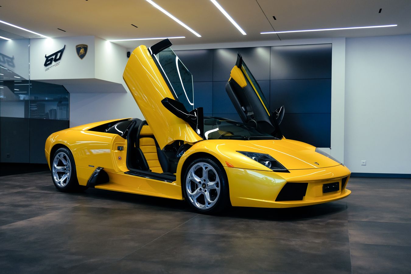 Gallery image
