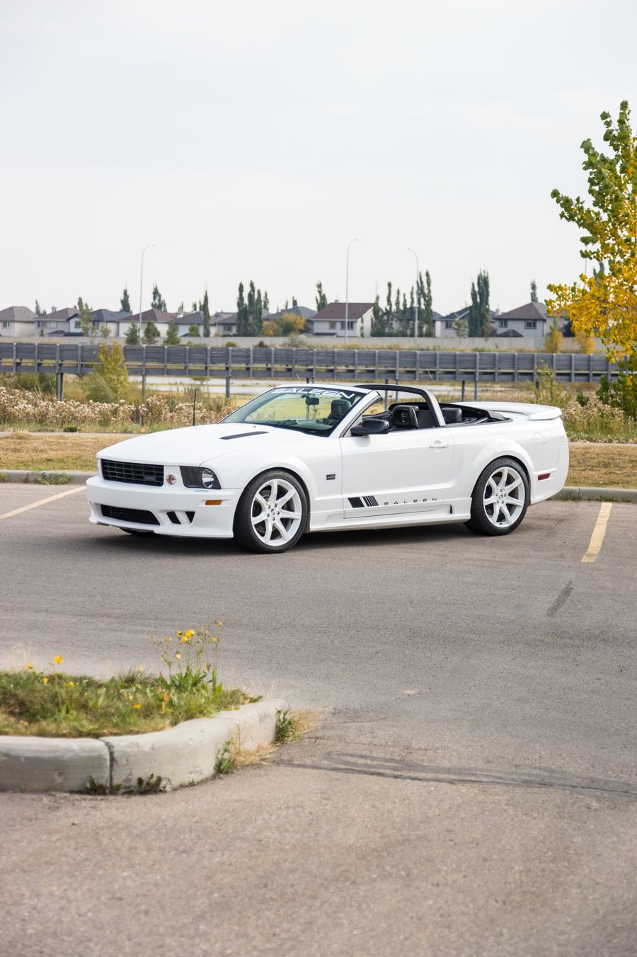 2007 Ford Mustang Saleen Thumbnail