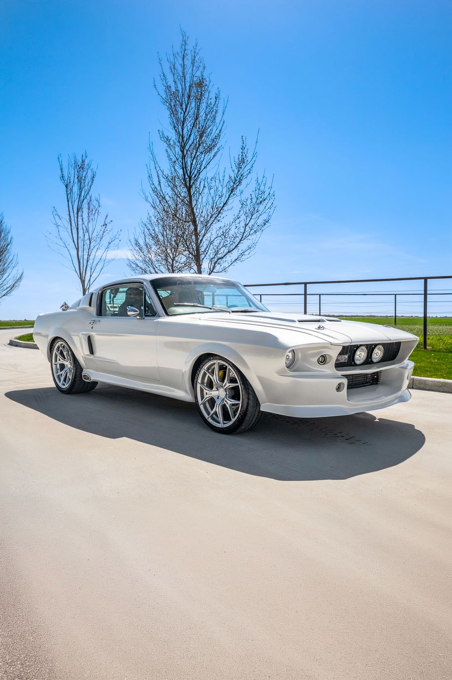 1967 Ford Mustang Eleanor Tribute Thumbnail