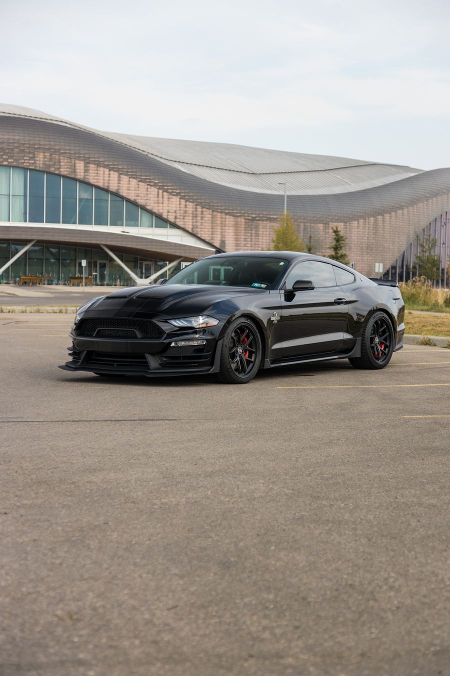 2019 Ford Mustang GT Super Snake Thumbnail