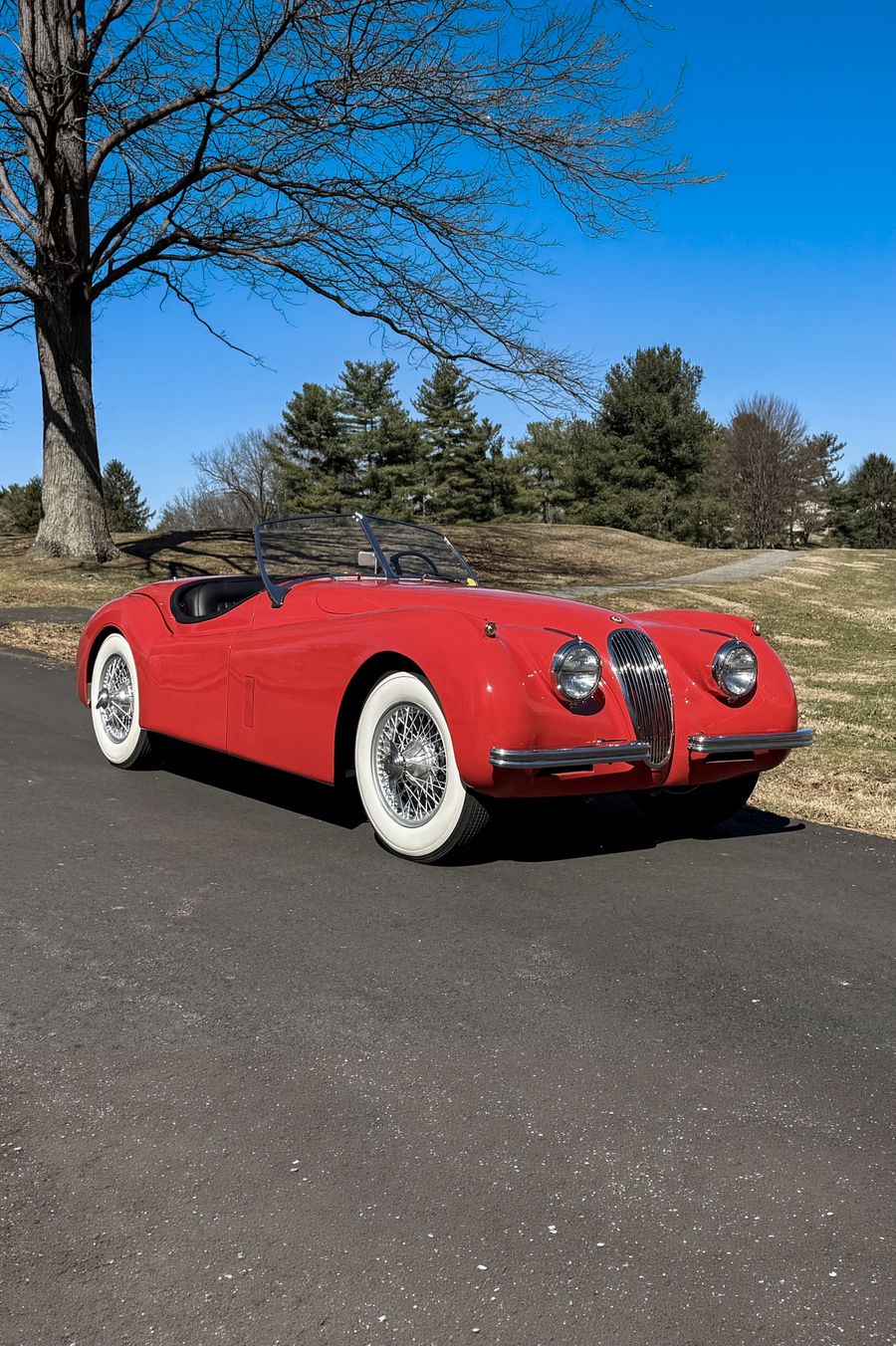 1954 Jaguar XK120 SE ROADSTER Thumbnail