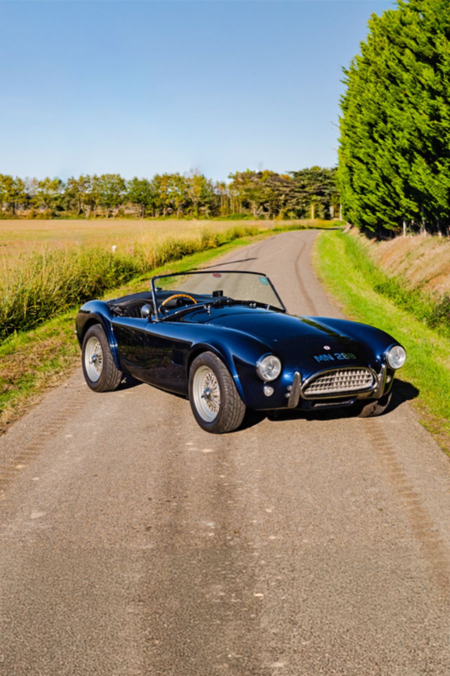 1965 AC Cobra 289 MKII Thumbnail