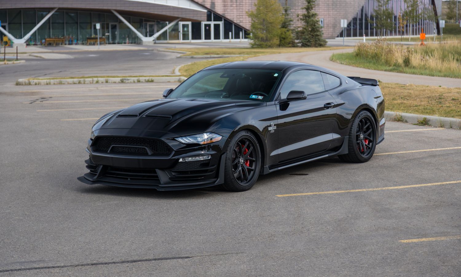 2019 Ford Mustang GT Super Snake Shadow Black Exterior