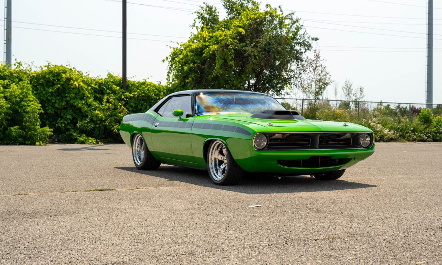 1970 Plymouth  Cuda  Snakeskin Green and Black Exterior